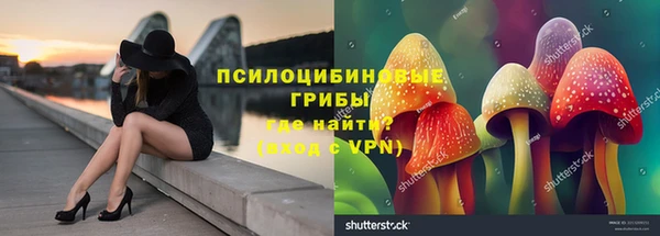 ешки Заводоуковск