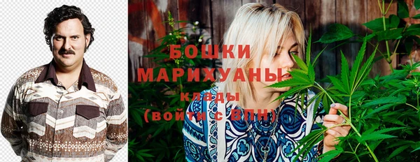 ешки Заводоуковск
