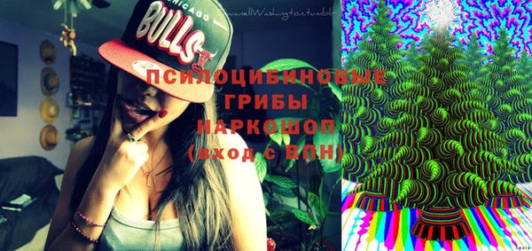 ешки Заводоуковск
