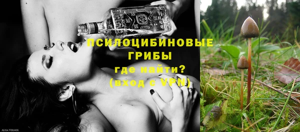 ешки Заводоуковск